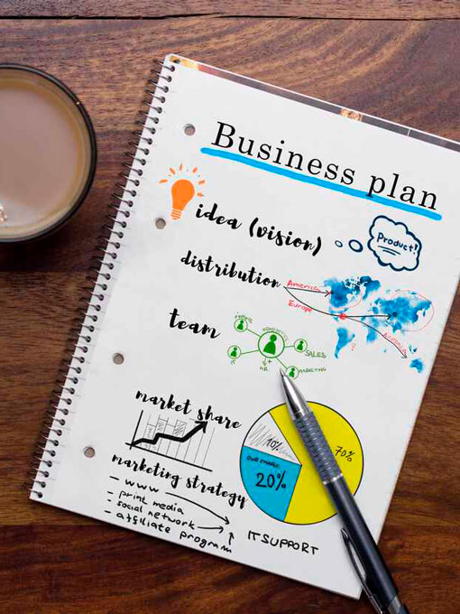 Elaboración del Plan de Negocio