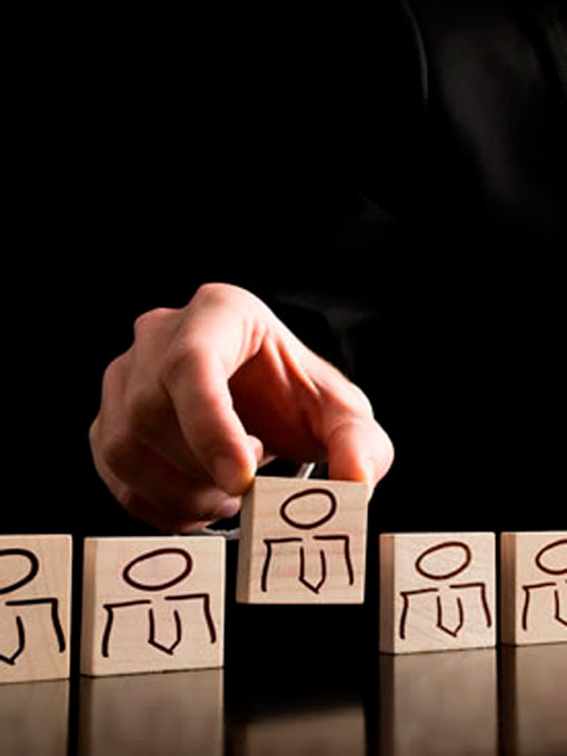 Elaboración del Manual de Organización